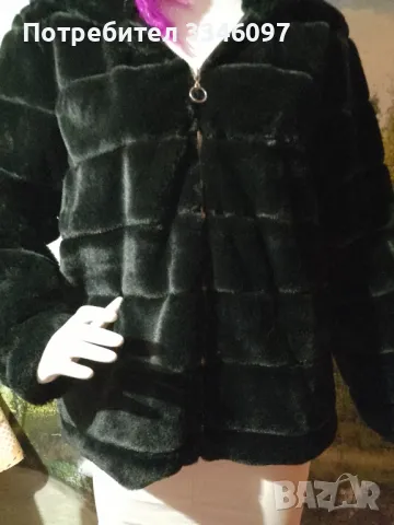 Дамско палто , снимка 1