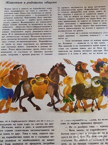 Пътуване в икономиката - Петър Раев, снимка 6 - Детски книжки - 32780703