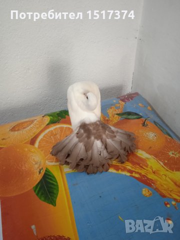 Продавам гълъби, Фенерлии , на капак , с цветни опашки , чисто бели , с гащи , снимка 10 - Гълъби - 34675193