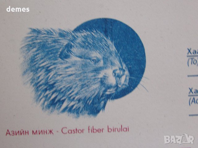 Нов пощенски плик-Монголия-2020-година на плъха, снимка 3 - Други ценни предмети - 28573788