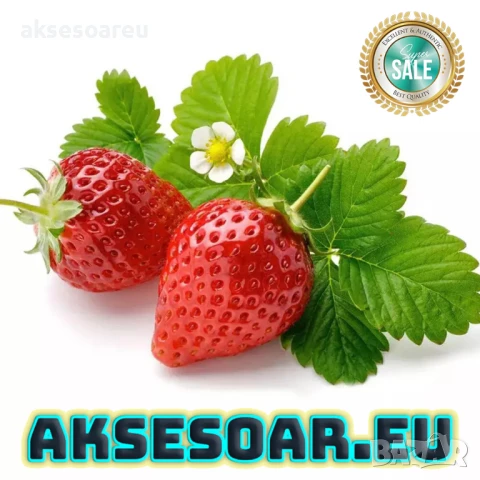 100 бр. ягодови семена от гигантска ягода градинско плодово растение сладки и вкусни червени ягоди, снимка 4 - Сортови семена и луковици - 50619114