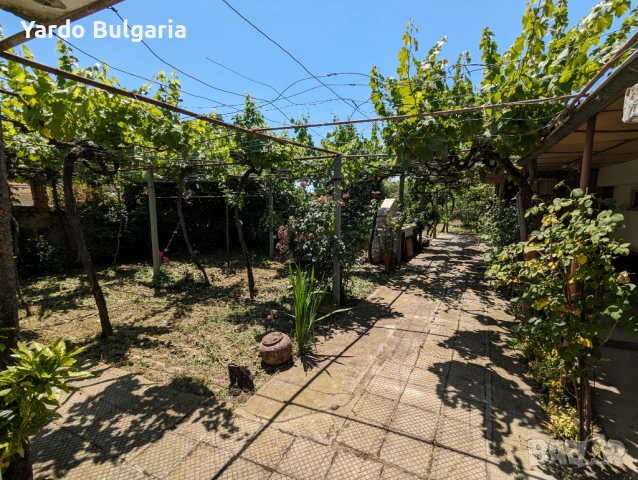 Почистване и поддръжка на дворове, градини и външни пространства в Пловдив и региона., снимка 7 - Почистване на домове - 53354295