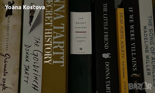 Онлайн уроци по литература , снимка 2 - Ученически и кандидатстудентски - 52630760