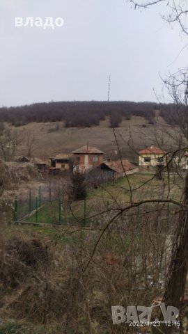 Осиково дворно място с къща, снимка 7 - Къщи - 35534250