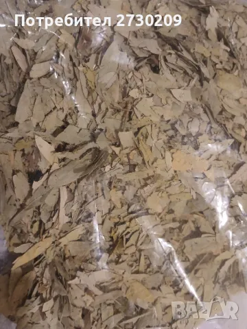 Чай Сена Майчин Лист от 200гр до 1000кг, снимка 3 - Други - 49164846