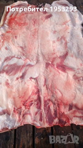 Прясна шарена сланина от бяла българка, снимка 4 - Прасета - 52914445