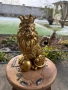 Лъв с корона , снимка 5