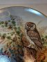 Австрийска порцеланова декоративна чиния сова, снимка 4