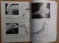 Топографо-анатомические основъи акупунктуръи (на руски) Хлопов Н.А., снимка 4