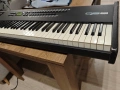 Синтезатор Алесис, пиано, Alesis QS8, снимка 9