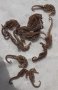 Стари, изсушени, сухи морски кончета, морско конче, снимка 1 - Други - 39884659