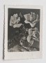 Поздравителна картичка Баба Марта 1957, снимка 1 - Филателия - 44011825