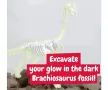 Образователна игра - Разкопки на вкаменелости Брахиозавър Science4you 80004809, снимка 5