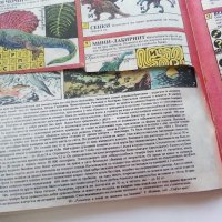 Комикс "Дъга" № 34 - 1989г., снимка 4 - Списания и комикси - 43906179
