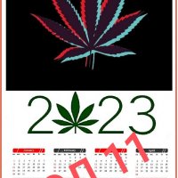 Календари 'Legalize THC Weed' (Супер Ламинат), снимка 10 - Други - 39806984