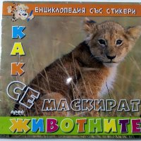 Енциклопедия със стикери "Как се маскират животните", снимка 1 - Детски книжки - 38926085