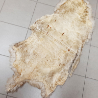 Стара овча кожа, естествена(17.5), снимка 6 - Антикварни и старинни предмети - 44891363