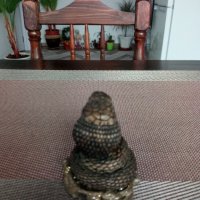 Продавам статуетка на кралска кобра., снимка 3 - Колекции - 39880831