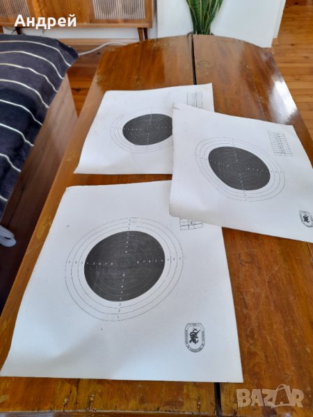 Стара мишена за въздушна пушка #3, снимка 1