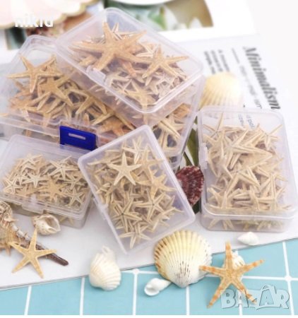 20 бр натурални морски звезди звездички за декорация, снимка 1
