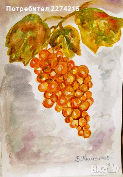 Грозд, снимка 1