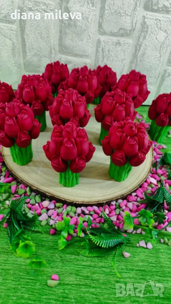 Лалета  от гипсокерамика!!, снимка 1