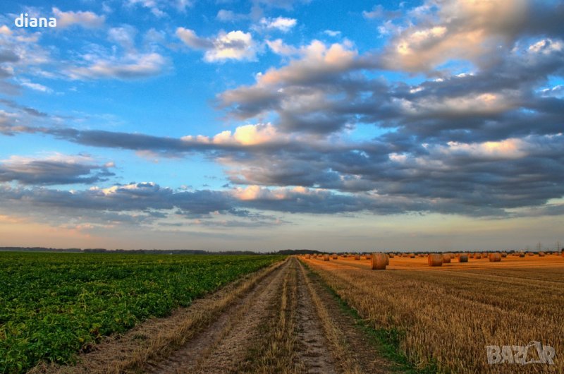 КУПУВАМ ЗЕМЕДЕЛСКА ЗЕМЯ , снимка 1