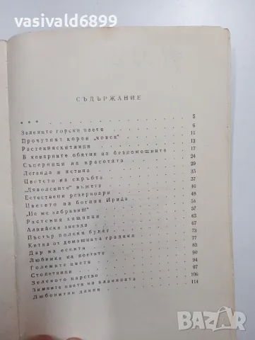 Ангел Железаров - Красота и куриози в растителния свят , снимка 6 - Специализирана литература - 48859712