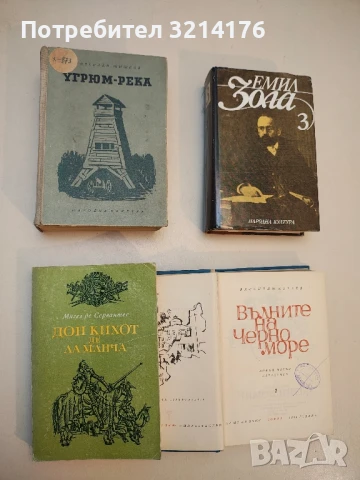 Дон Кихот де ла Манча. Част 1 - Мигел де Сервантес