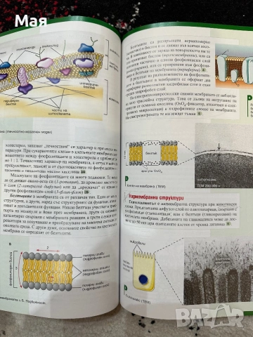 Учебници по биология за 11 клас, снимка 7 - Учебници, учебни тетрадки - 53446808