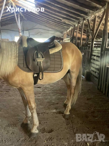  ДВЕ СЕДЛА ЗА ЕЗДА - , снимка 2 - За селскостопански - 51269371