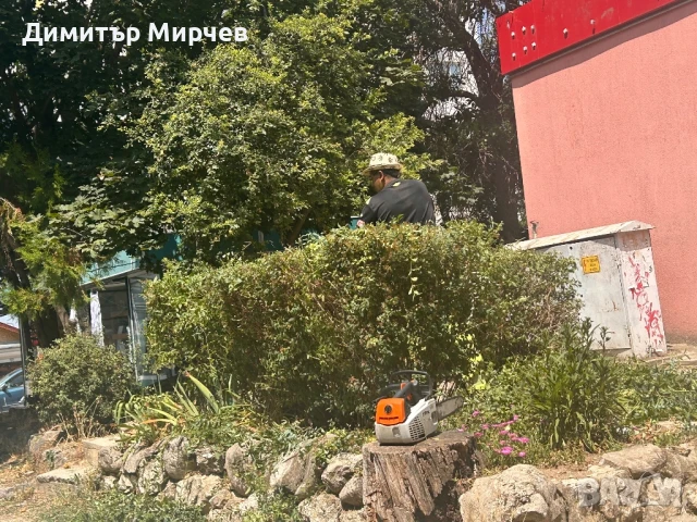 Косене на тревни площи почистване, снимка 12 - Други почистващи услуги - 37099775