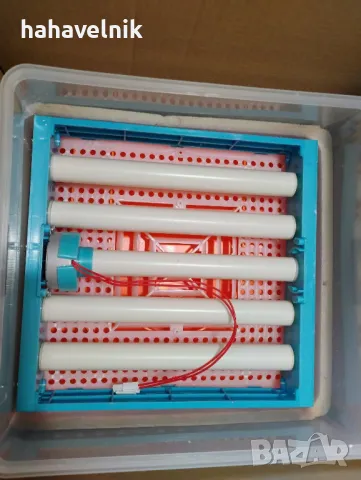 Инкубатор за 24 яйца, снимка 4 - За птици - 50104375