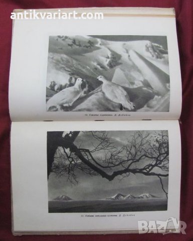 1951г. Книга Изобразителното Майсторство в Фотографията, снимка 4 - Други - 26512134
