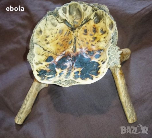 Северен елен, снимка 14 - Ловно оръжие - 28423687