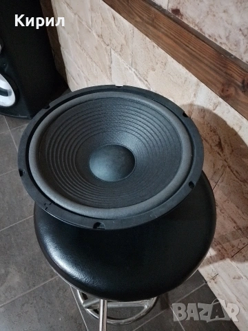 Нов 12 инчов говорител , снимка 2 - Тонколони - 53385877