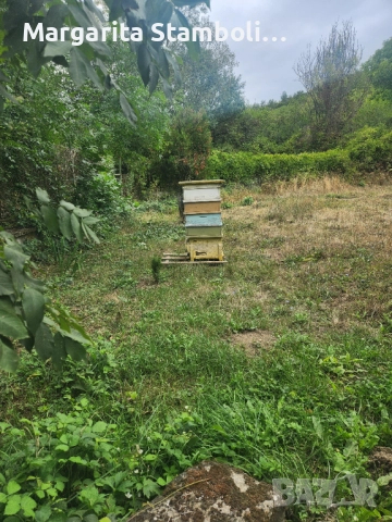 Продадена , снимка 3 - Парцели - 51483971