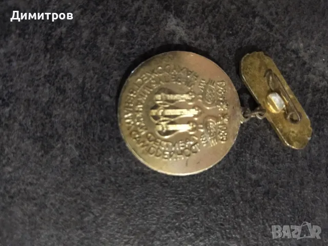 Значки, снимка 12 - Колекции - 38991824