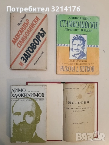 Димо Хаджидимов. Живот и дело - Боян Кастелов