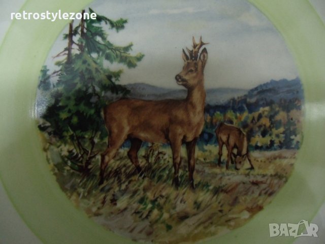 № 6900 стара порцеланова чиния   - диаметър 25,5 см , снимка 3 - Други ценни предмети - 40062011