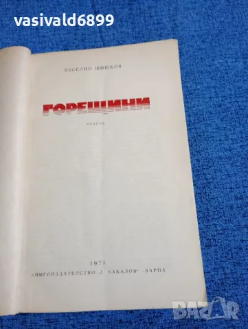 Веселин Шишков - Горещини , снимка 4 - Българска литература - 47984132