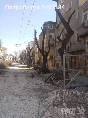 Рязане на високи и опасни дървета и почистване на дворове от треви и храсти., снимка 6 - Градинска техника - 36933277