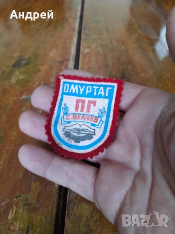 Стара училищна емблема ПГ Ц.Велчев Омуртаг, снимка 2 - Колекции - 52281777
