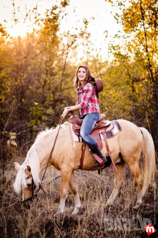 Ездитен кон Аблай Хан, снимка 11 - Коне - 51147186