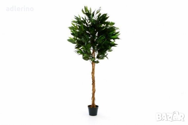Манго - изкуствено растение, изкуствено дърво, декорация за офис - 180 см в  Изкуствени цветя в гр. Айтос - ID34160869 — Bazar.bg