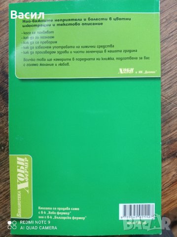 Колорадски бръмбар, неприятели и болести в зеленчуковата градина , снимка 2 - Други - 44099437