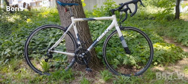 Giant road bike , снимка 2 - Велосипеди - 50629392