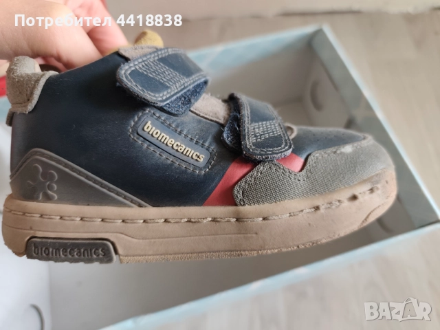 Кецове biomecanics