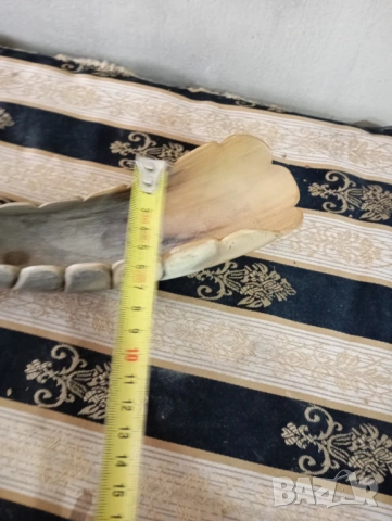 Рог за декорация, снимка 6 - Други ценни предмети - 53094988