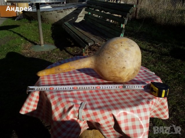 Стара кратуна, снимка 3 - Антикварни и старинни предмети - 28322050